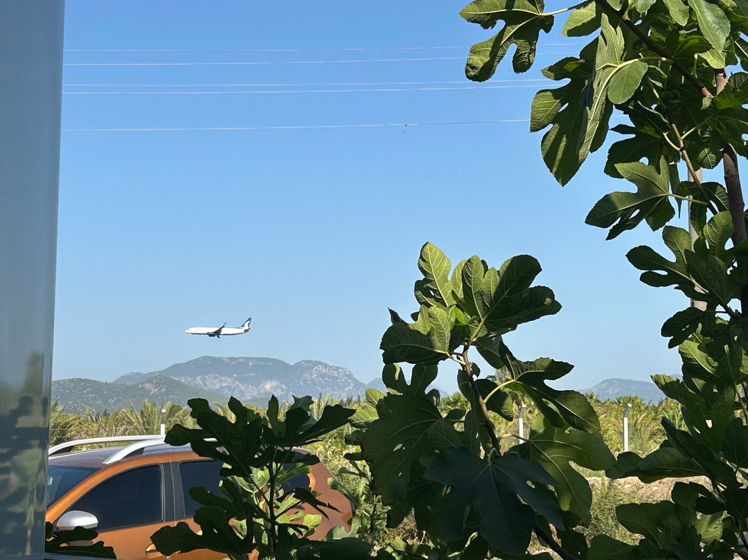 Dalaman Airport Alibaba House主图