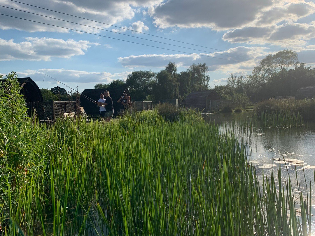 Seven Acre Farm Campsite