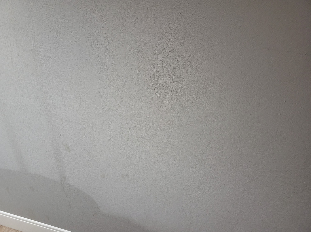 Hawthorn Suites by Wyndham Ardmore主图