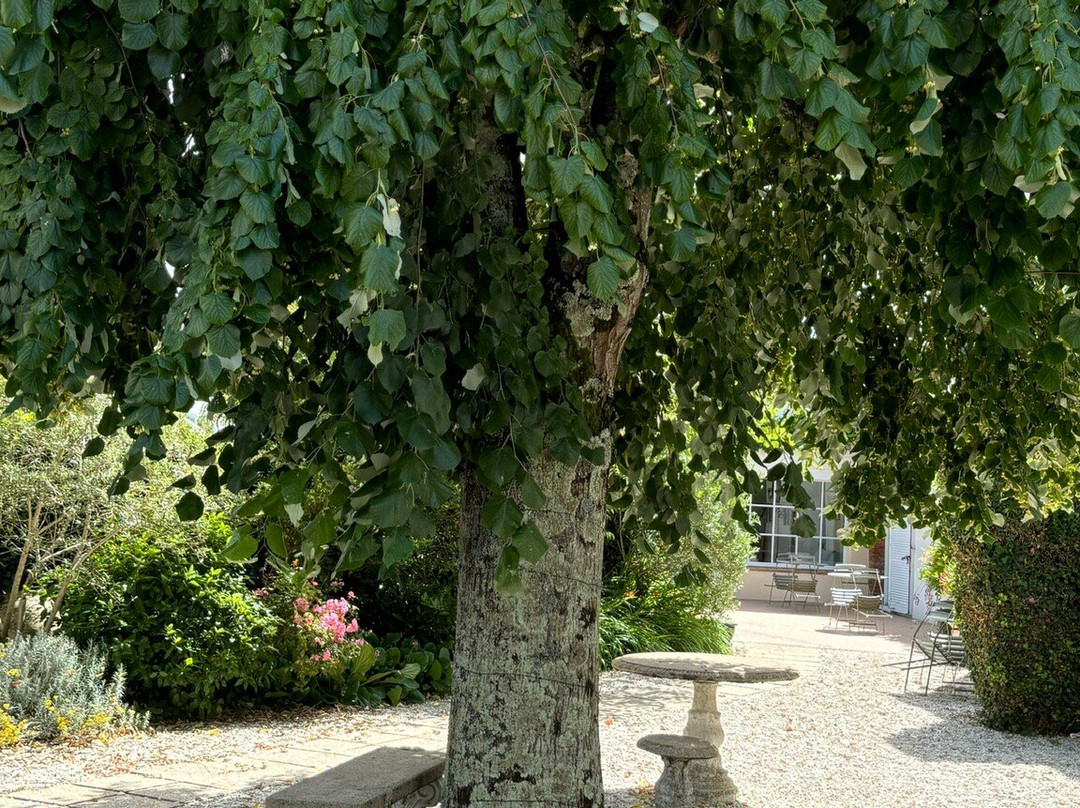 Le Manoir de l'Antiquite主图