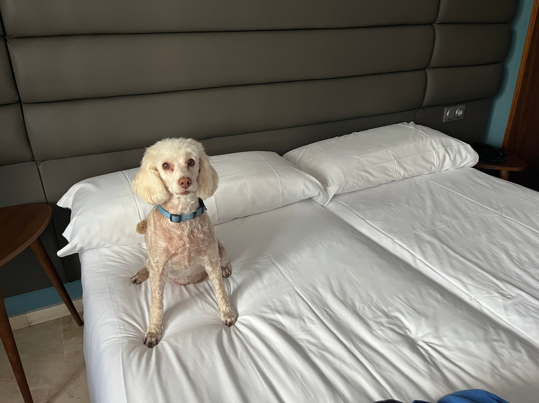 潘普洛纳广场酒店主图