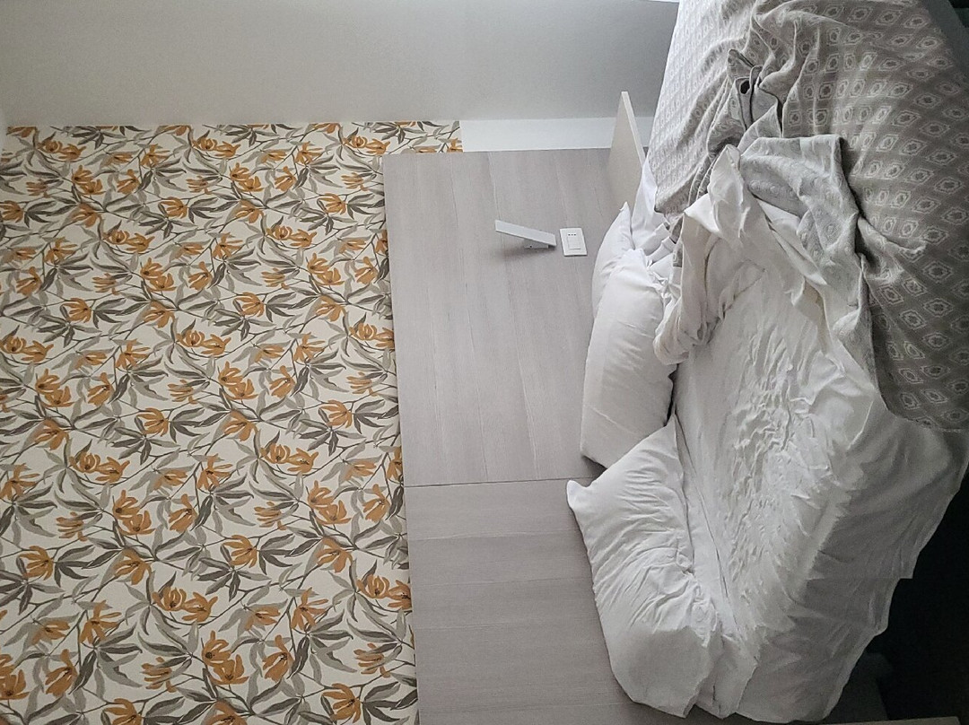 Alfa Fiera Hotel主图