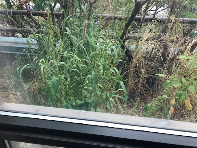 温哥华机场格兰德公园酒店-Ascend酒店主图