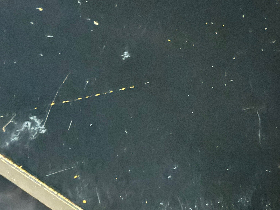 Baymont by Wyndham El Dorado主图