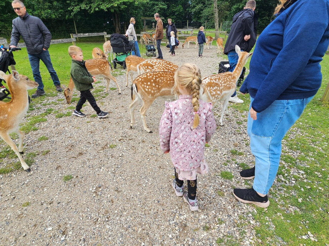 Scandinavian Wildlife Park景点图片