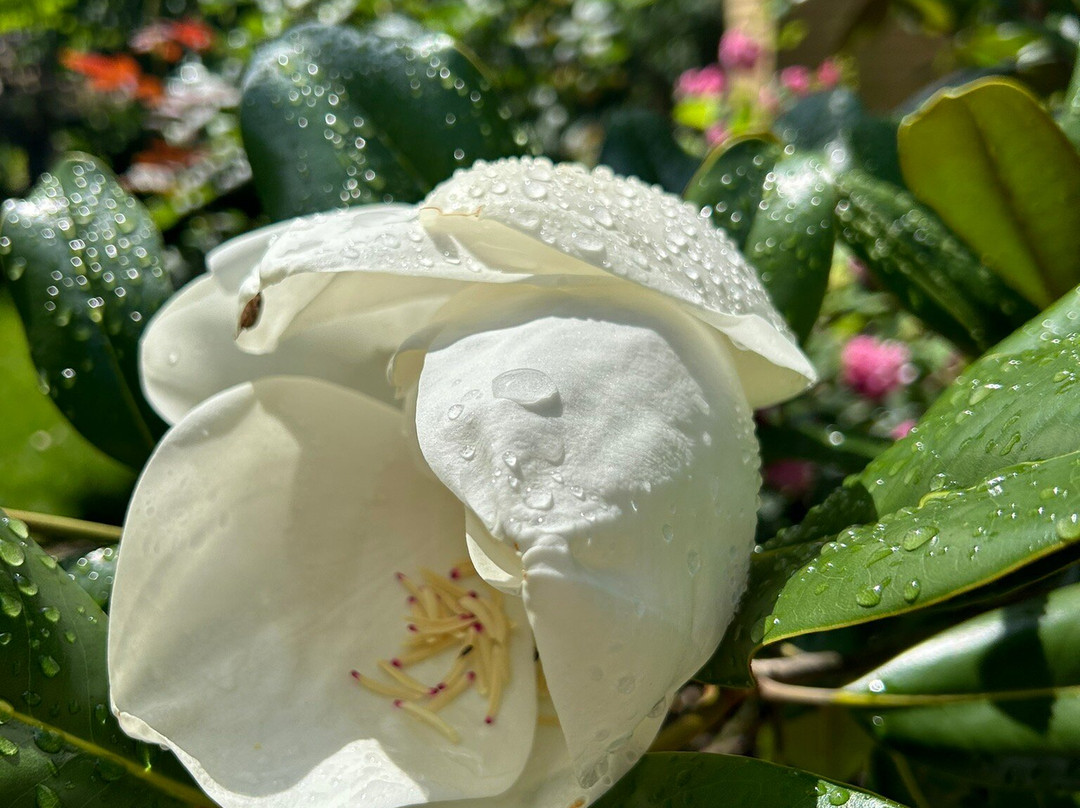 Angel Welcome Bed and Breakfast主图