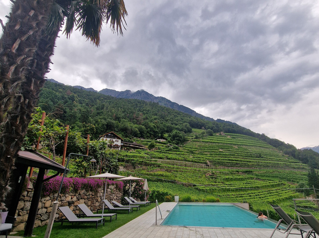 Schloss Plars Wine & Suites主图