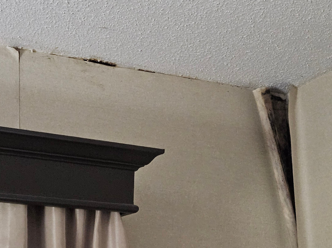 Quality Inn & Suites Searcy I-67主图