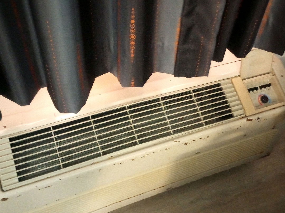 Quality Inn & Suites Redwood Coast主图