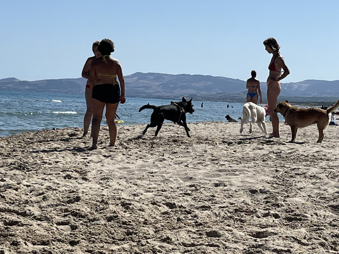 Spiaggia di Platamona-Platamona必去景点