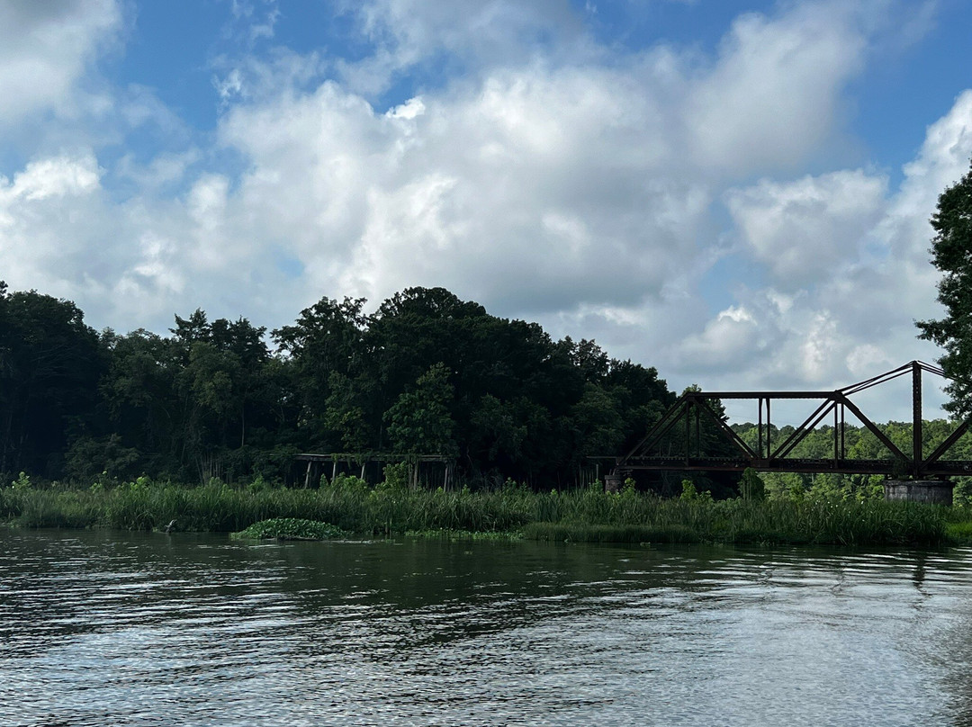 Lake Lowndes State Park景点图片