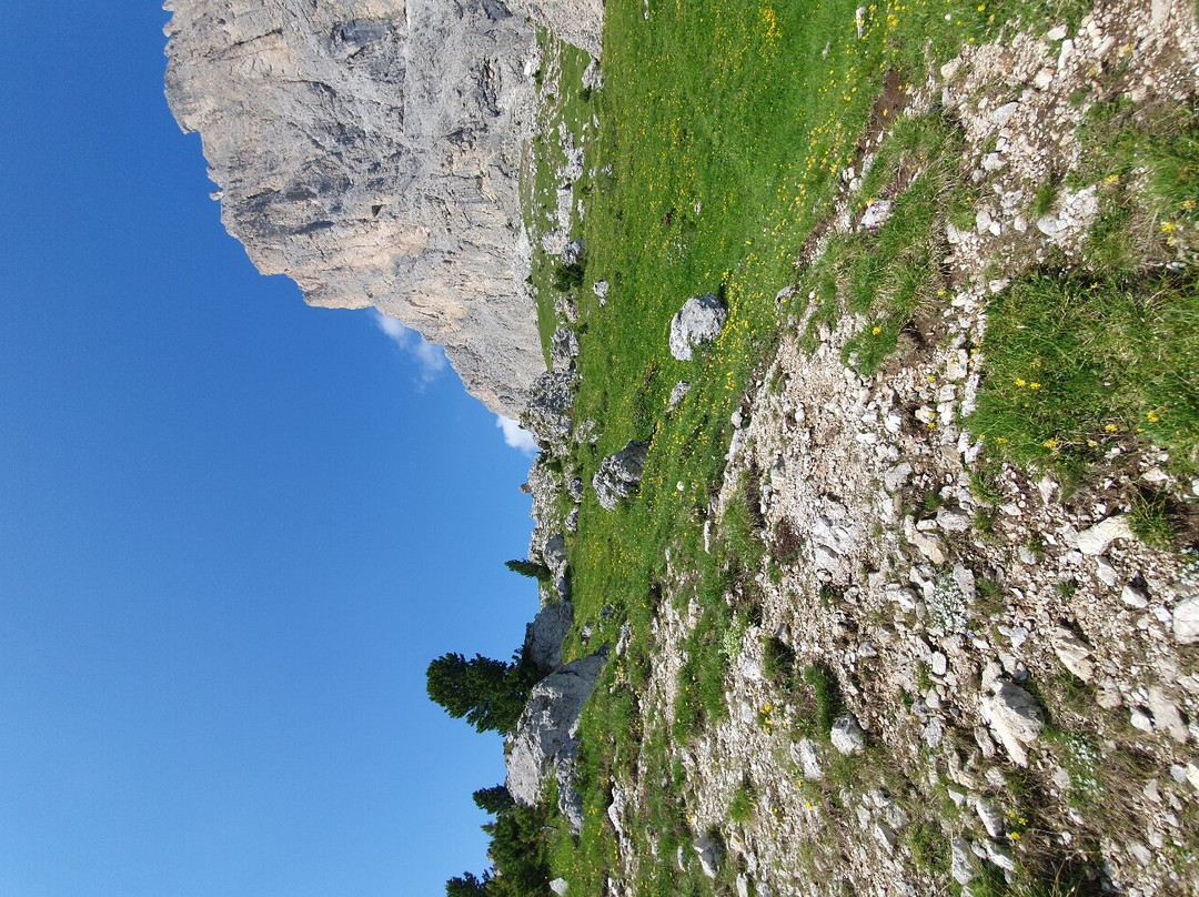 Seggiovia Gran Paradiso.景点图片