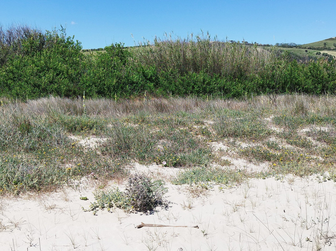 Riserva Naturalistica del Borsacchio景点图片