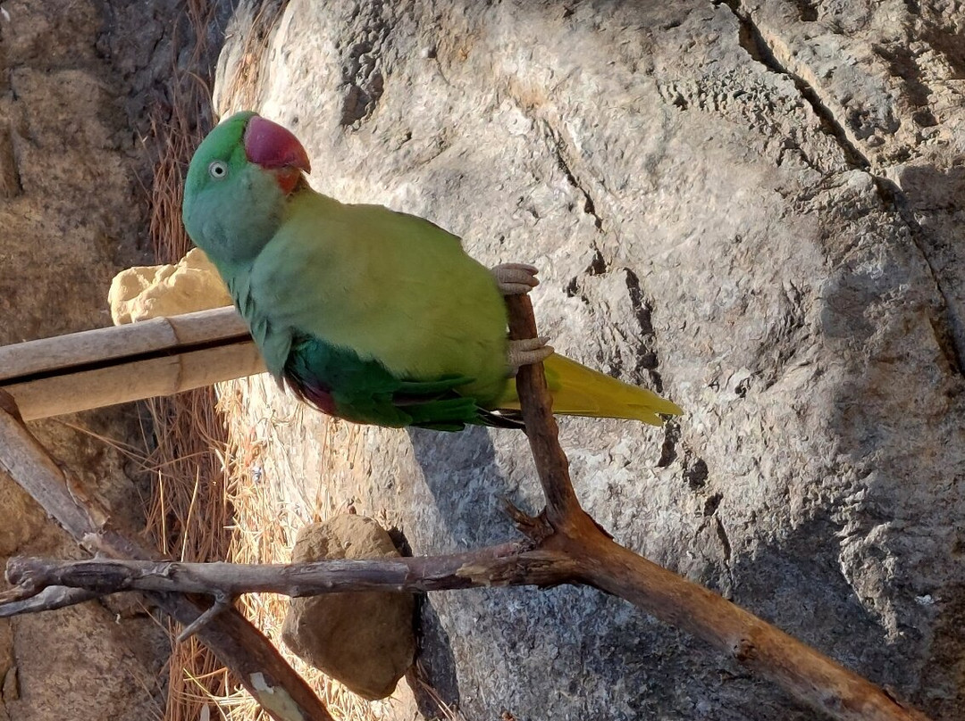 Alameda Wildlife Conservation Park-直布罗陀必去景点