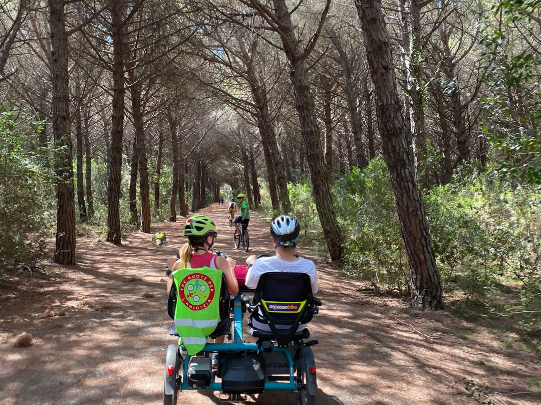 Tuscany Love Bike景点图片