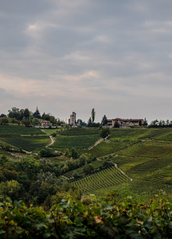 Cantina Mauro Sebaste景点图片