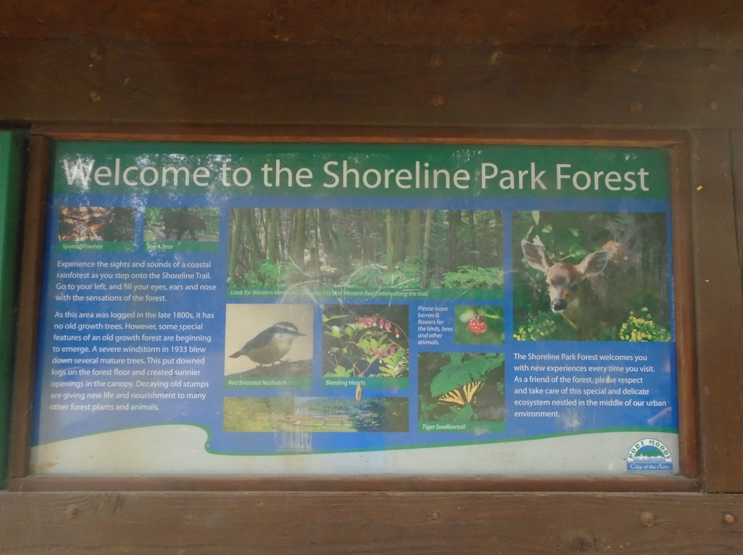 Shoreline Trail-穆迪港必去景点