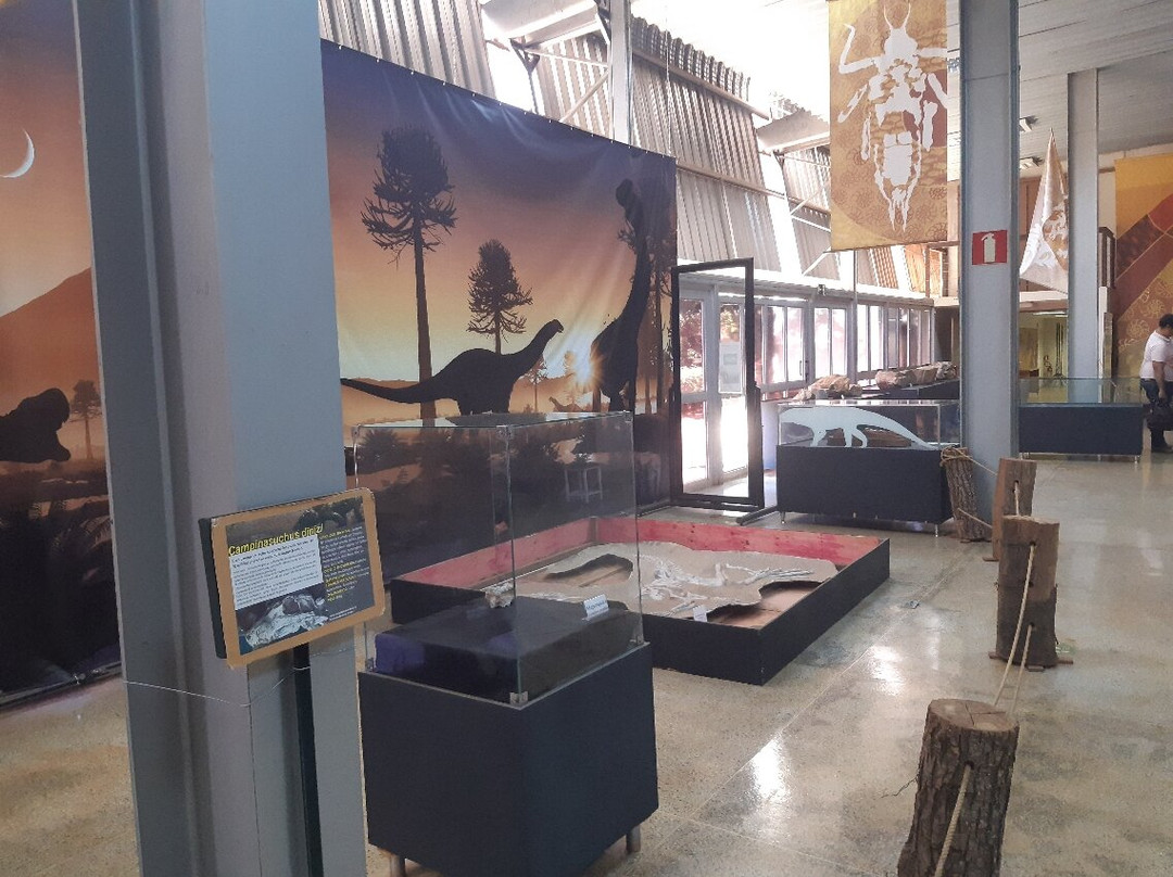 Museu Paleontológico De Peirópolis景点图片