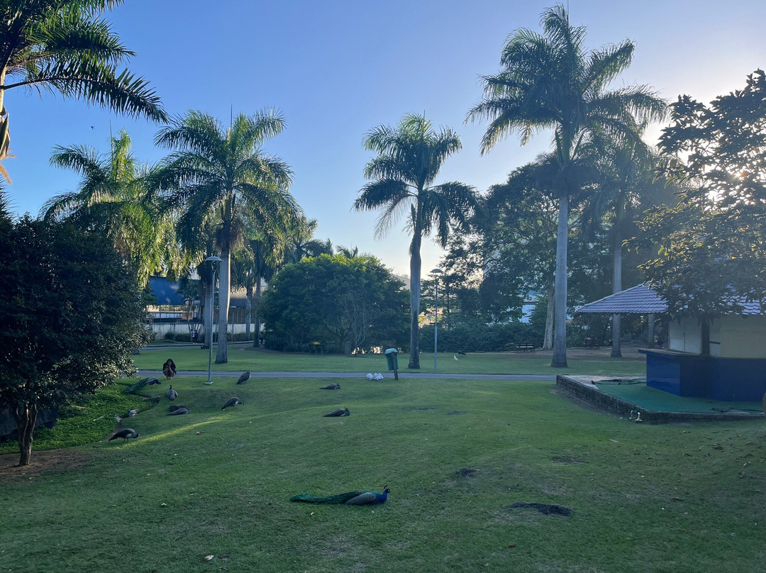 Parque Pedra da Cebola景点图片