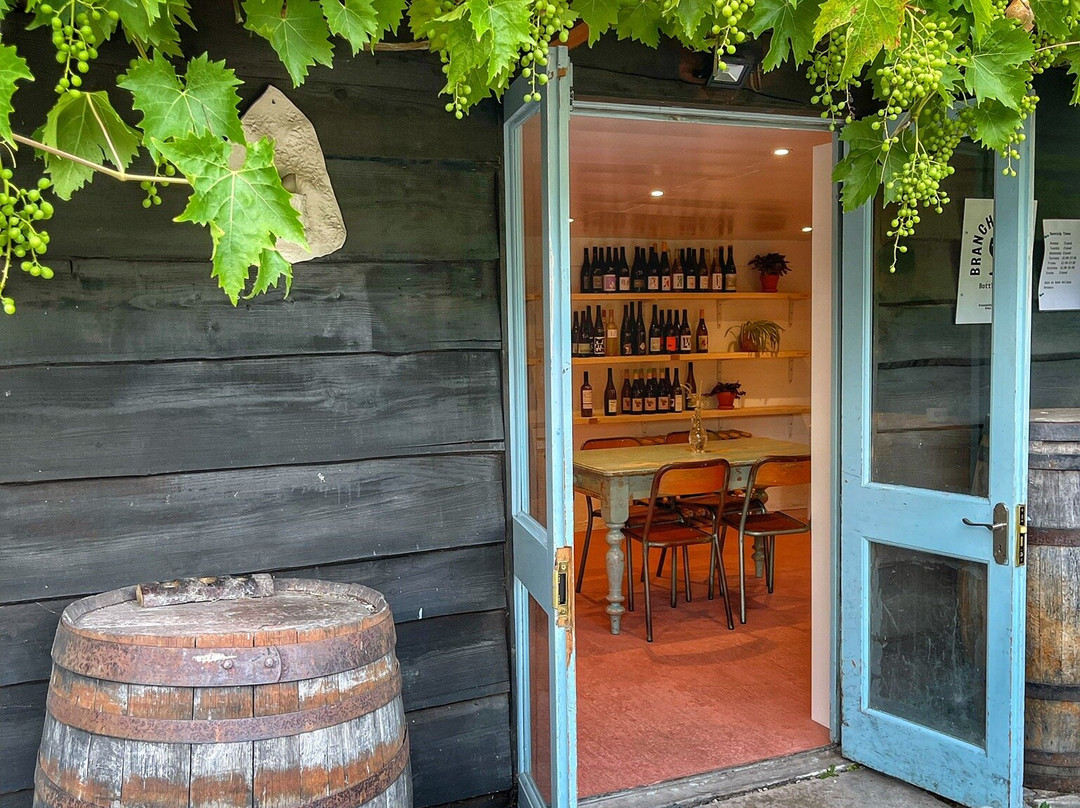 Branch And Vine Bottle Shop景点图片