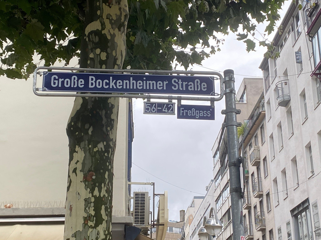 大博肯海默街-法兰克福必去景点