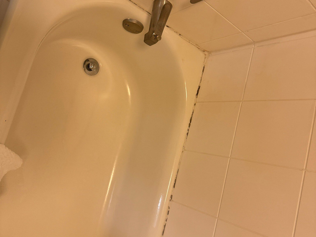 SpringHill Suites by Marriott Greensboro主图