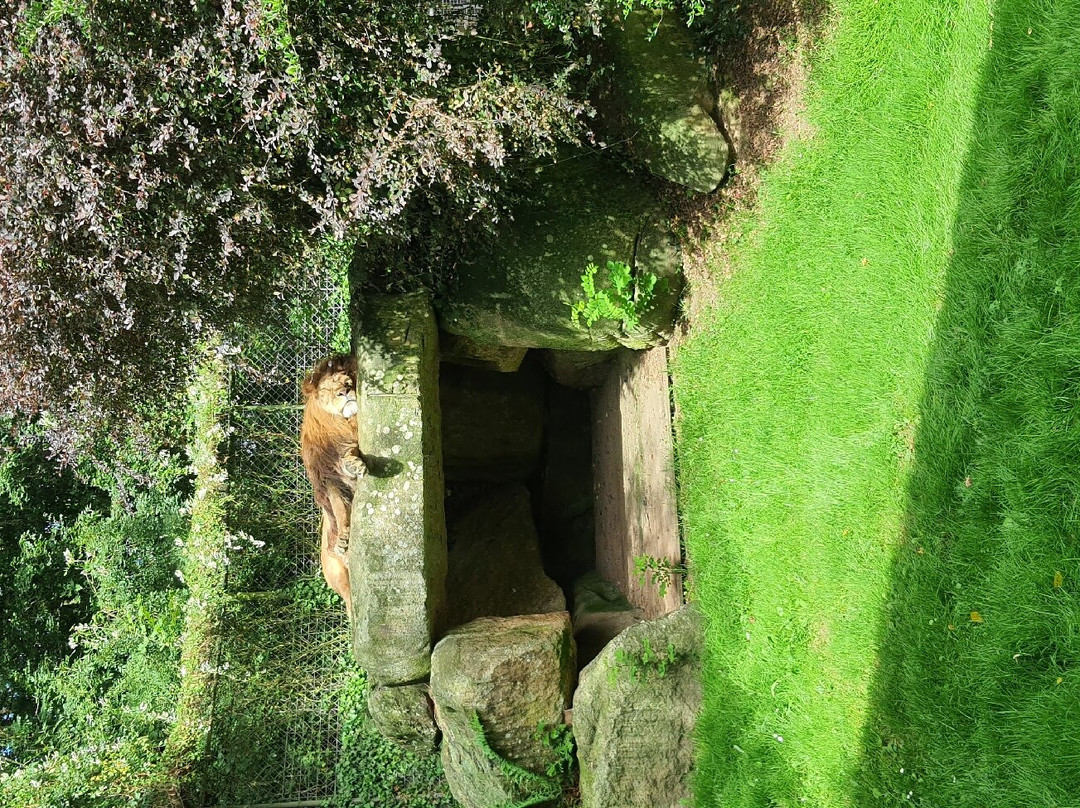 Zoo de Champrepus景点图片
