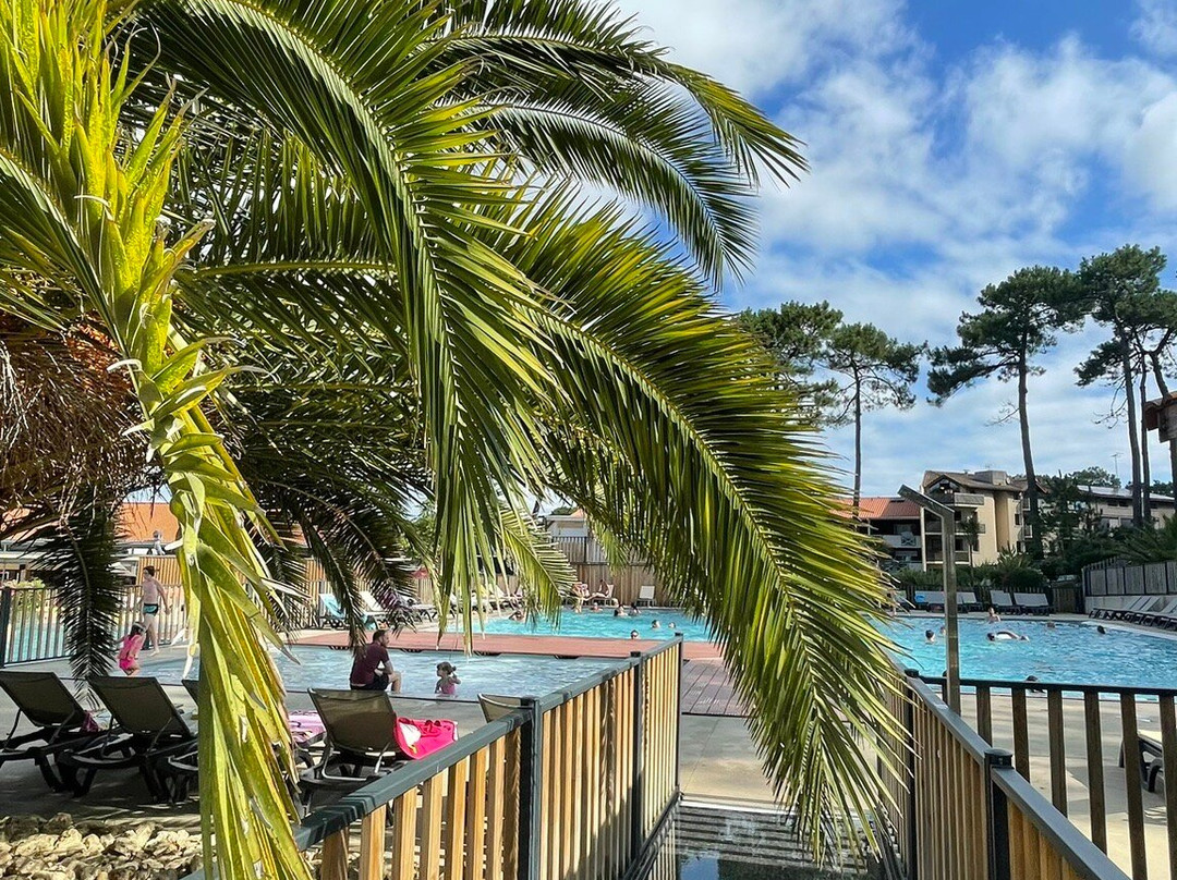 Camping Club Plage Sud - MS Vacances