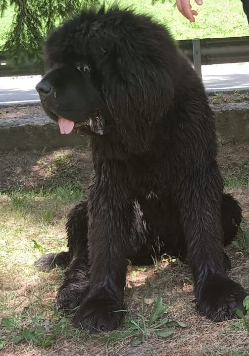 Maison Le Cler主图