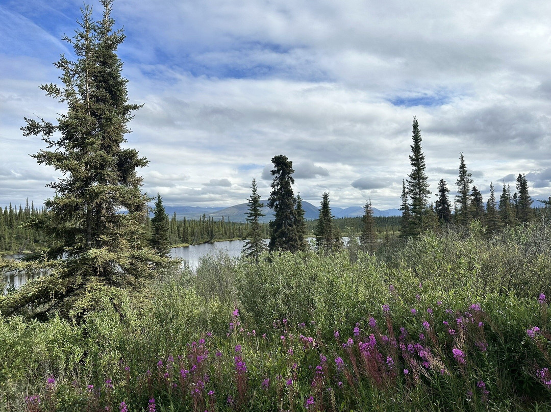 Nabesna Road-Slana必去景点