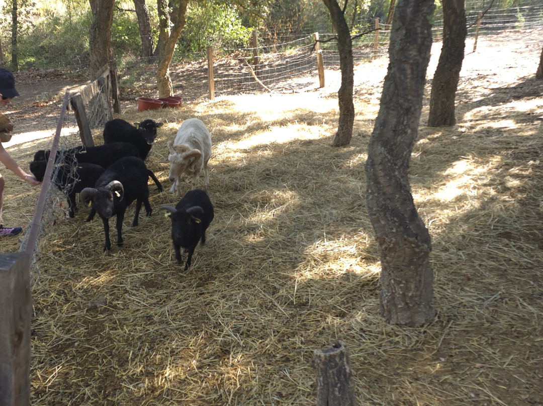 La Ferme Saint Roch景点图片