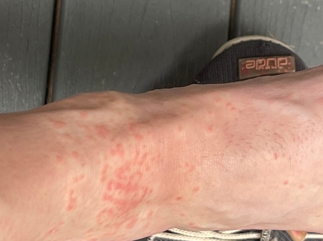 Days Inn by Wyndham Jellico - Tennessee State Line主图