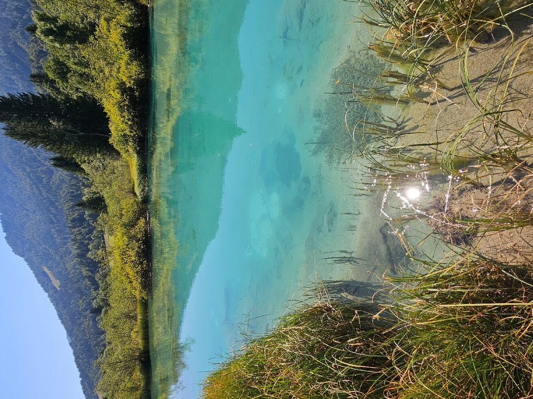 Zelenci Nature Reserve景点图片