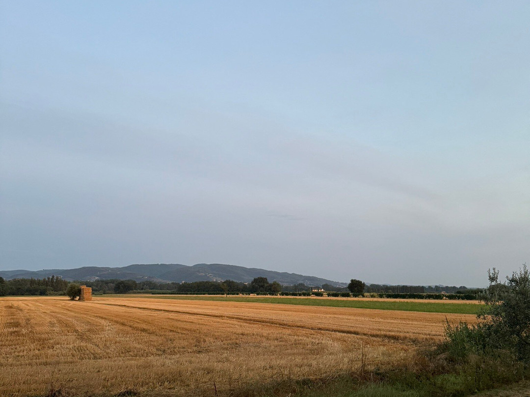 Agriturismo Borgo Laurice主图