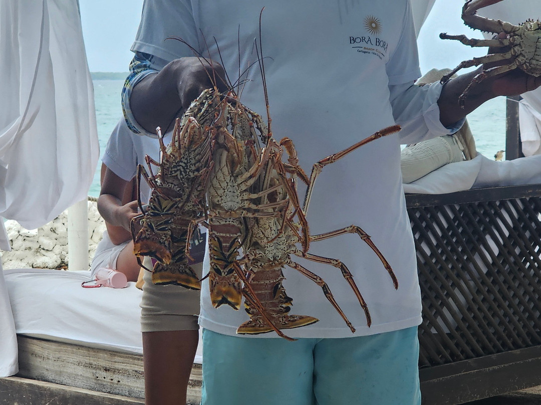 Gm International Travel-卡塔赫纳必去景点