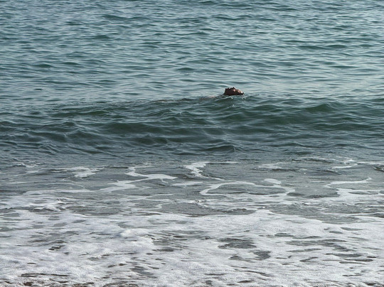 Ventnor Beach-文特诺必去景点