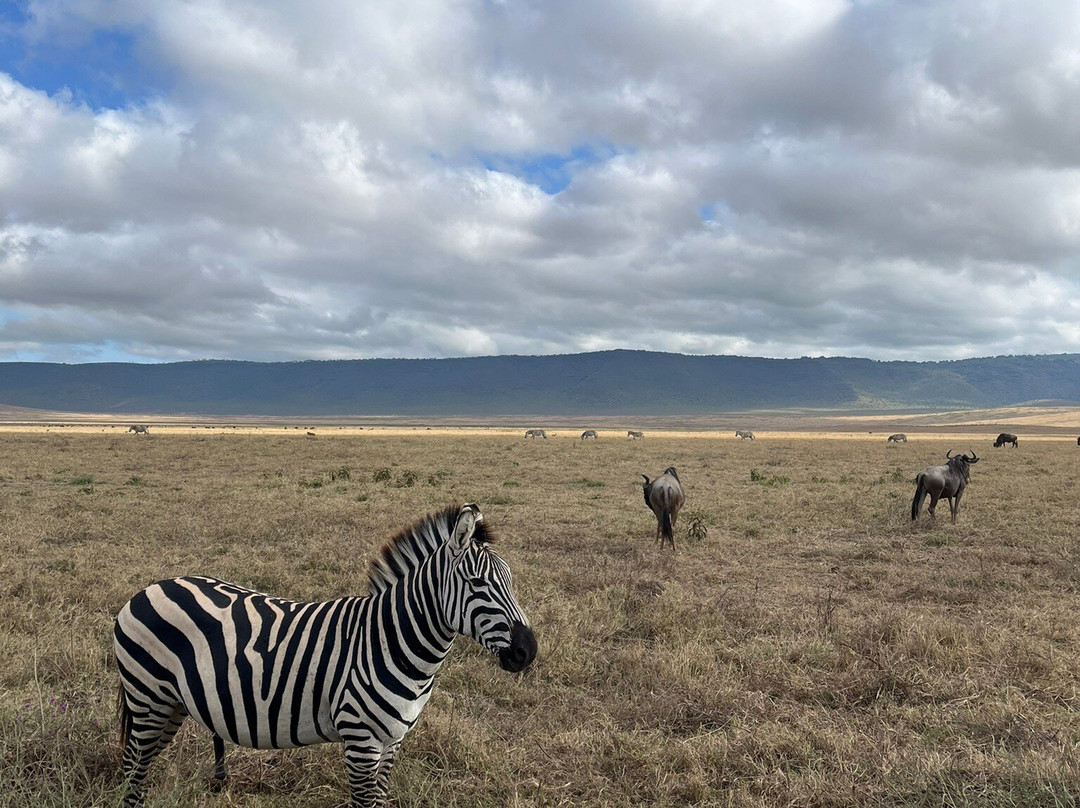 3 Wonders Expeditions-阿鲁沙必去景点