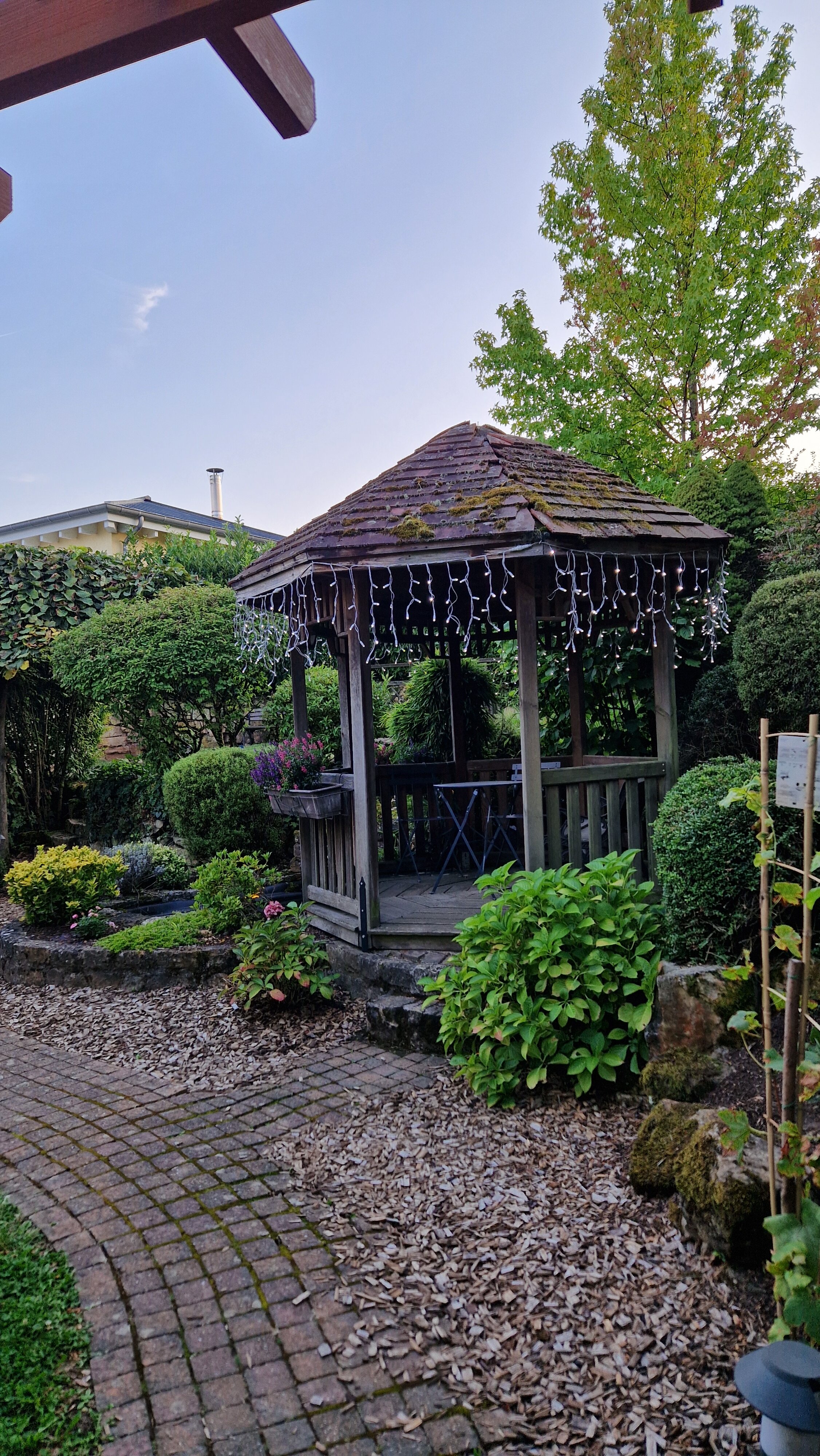 Domaine La Foret-官方