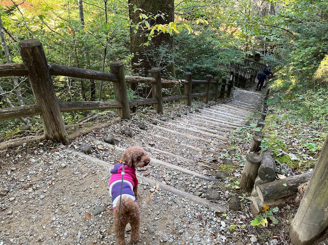 Shiobara Ravine Trail-那须盐原市必去景点