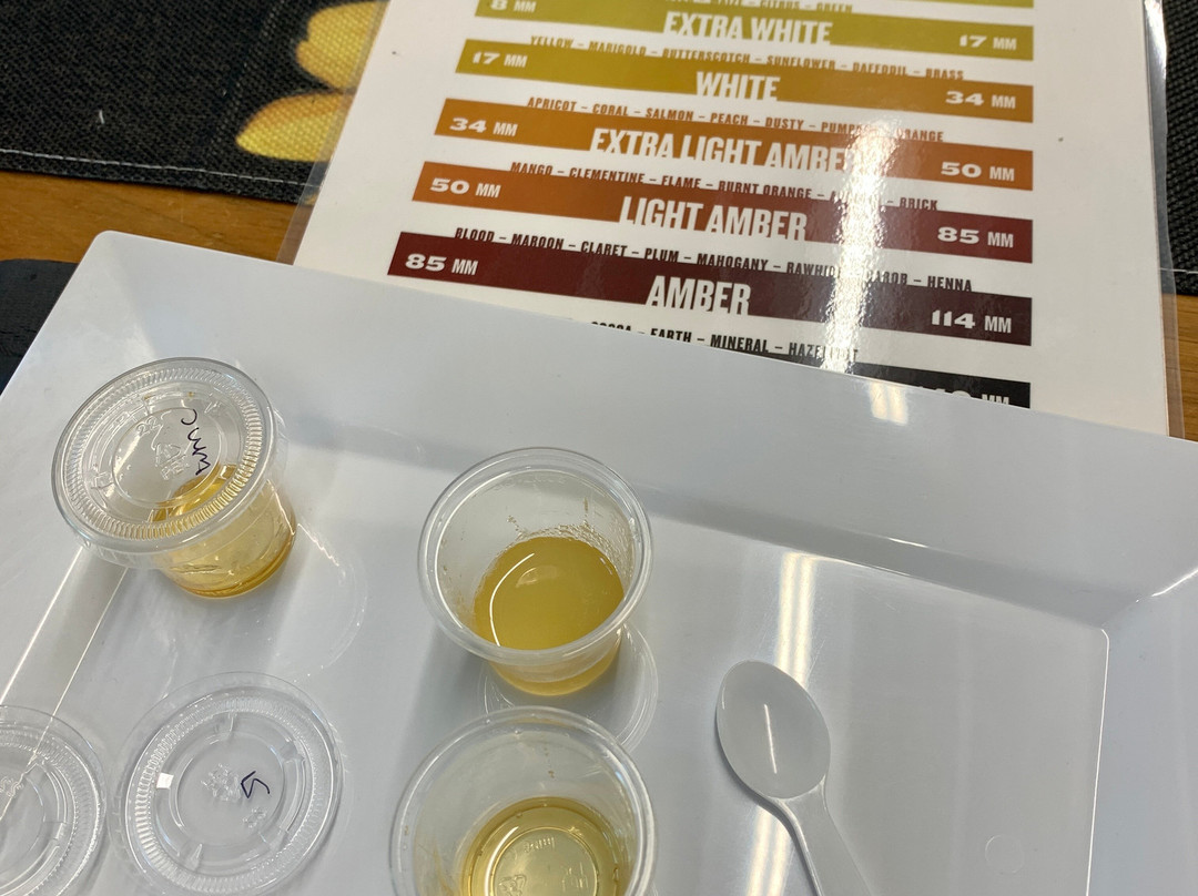 Dry Creek Beekeeping景点图片