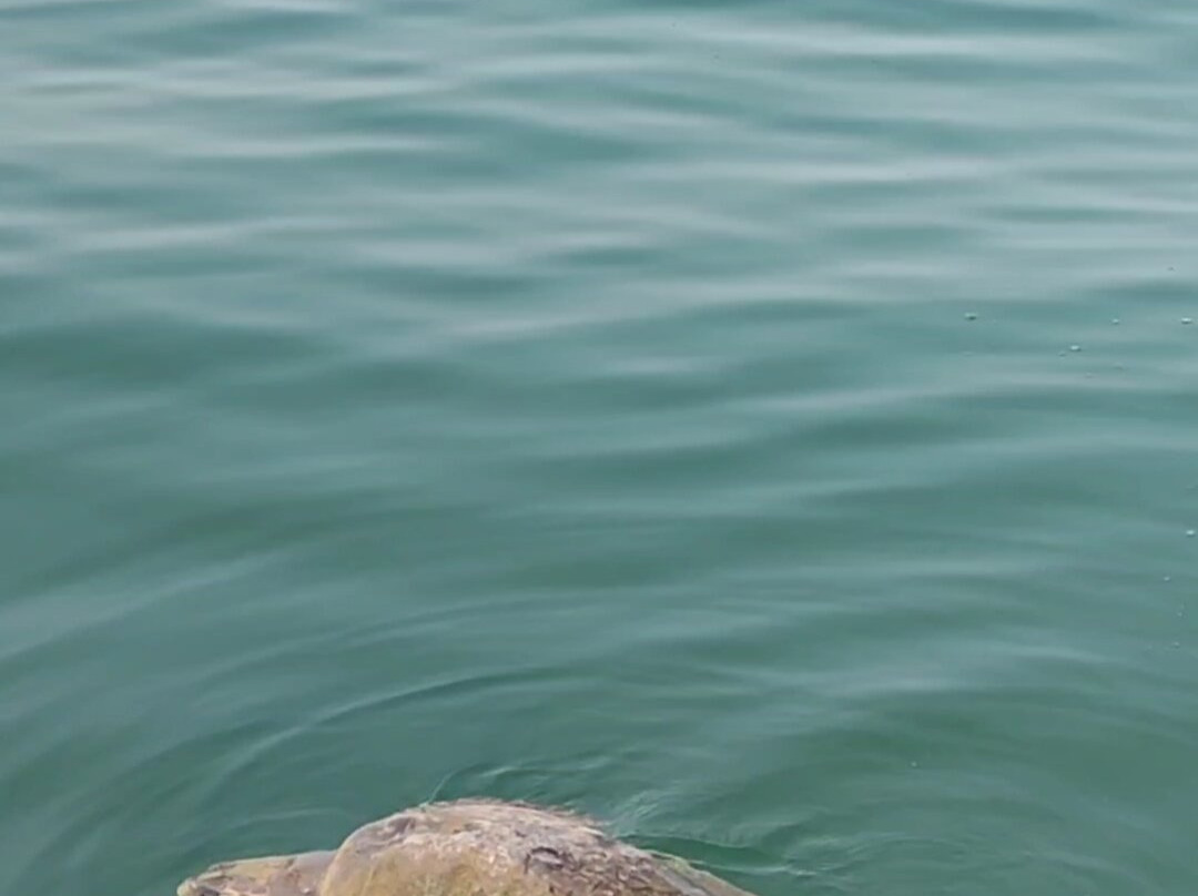 North Shore Peru Expeditions-Tumbes必去景点