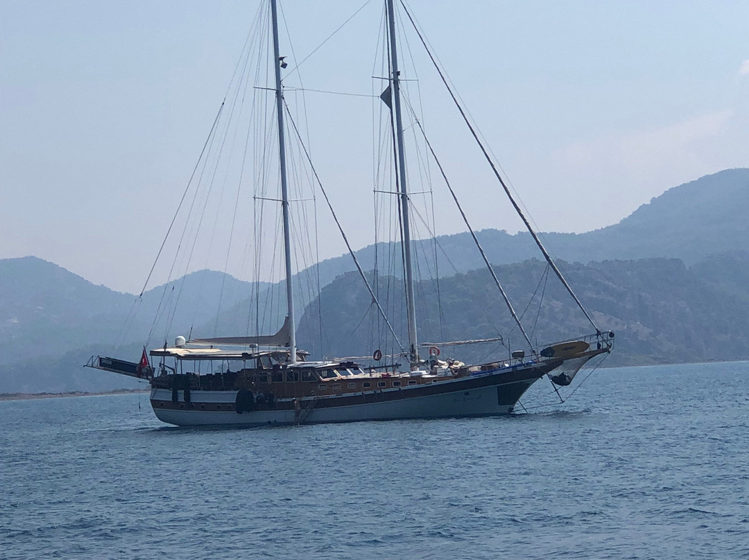 Dalyanlı Boat Tours-达利安必去景点