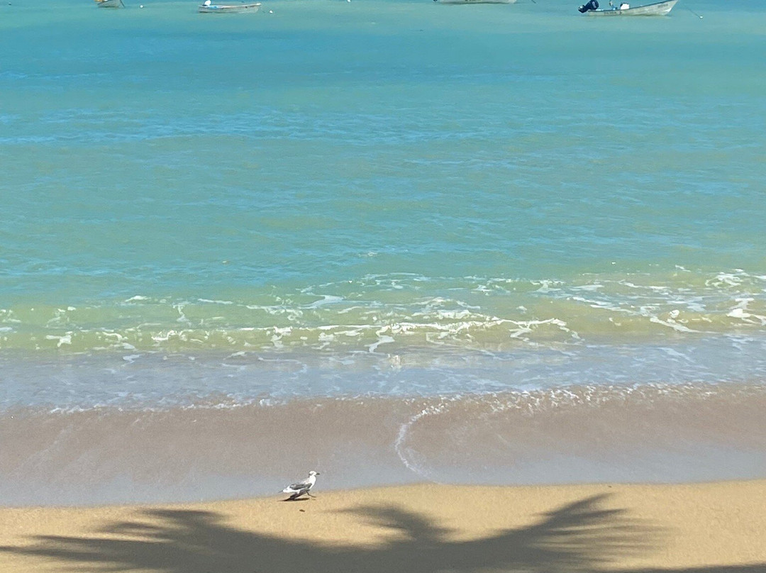 Parlatuvier Beach-Parlatuvier必去景点