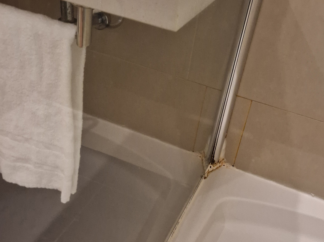 AZZ Valencia Táctica主图