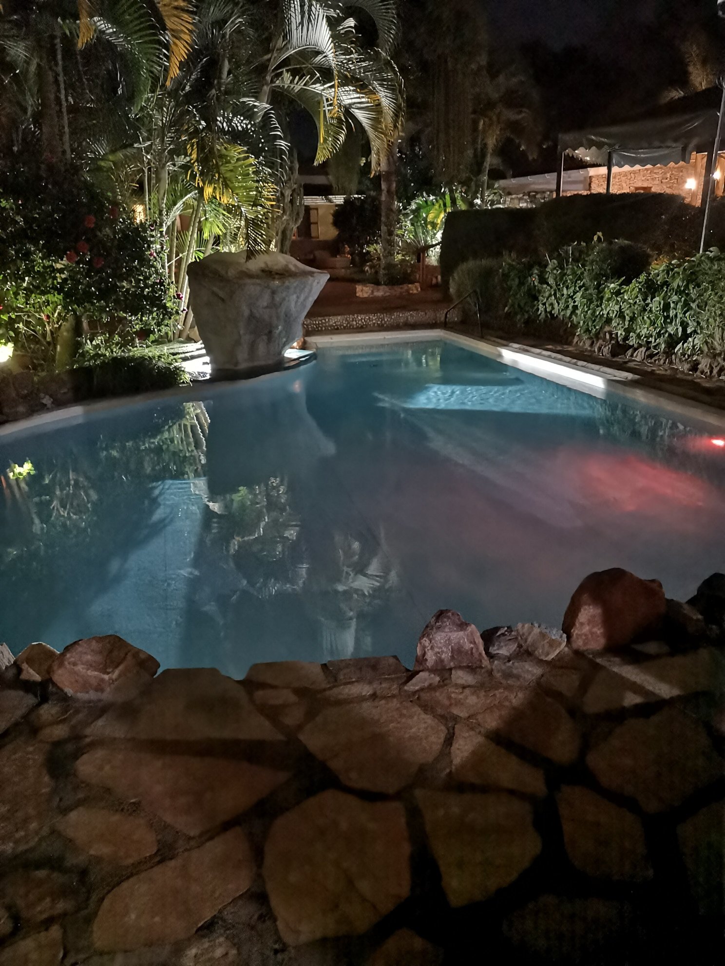 2 Friends Guest House-泳池