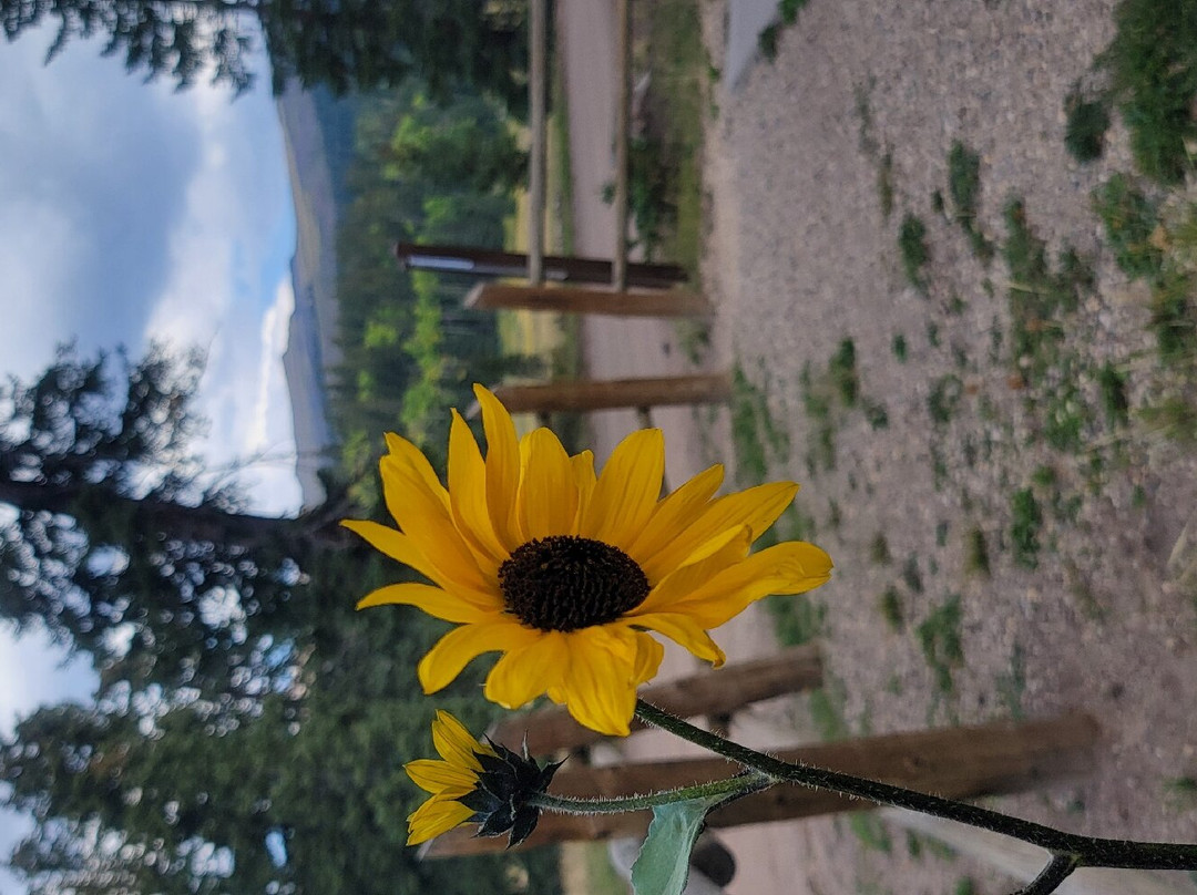 Paiute Trail-Marysvale必去景点