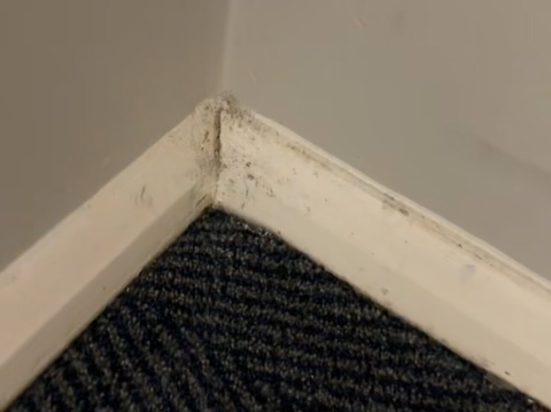 Travelodge Bristol Cribbs Causeway主图
