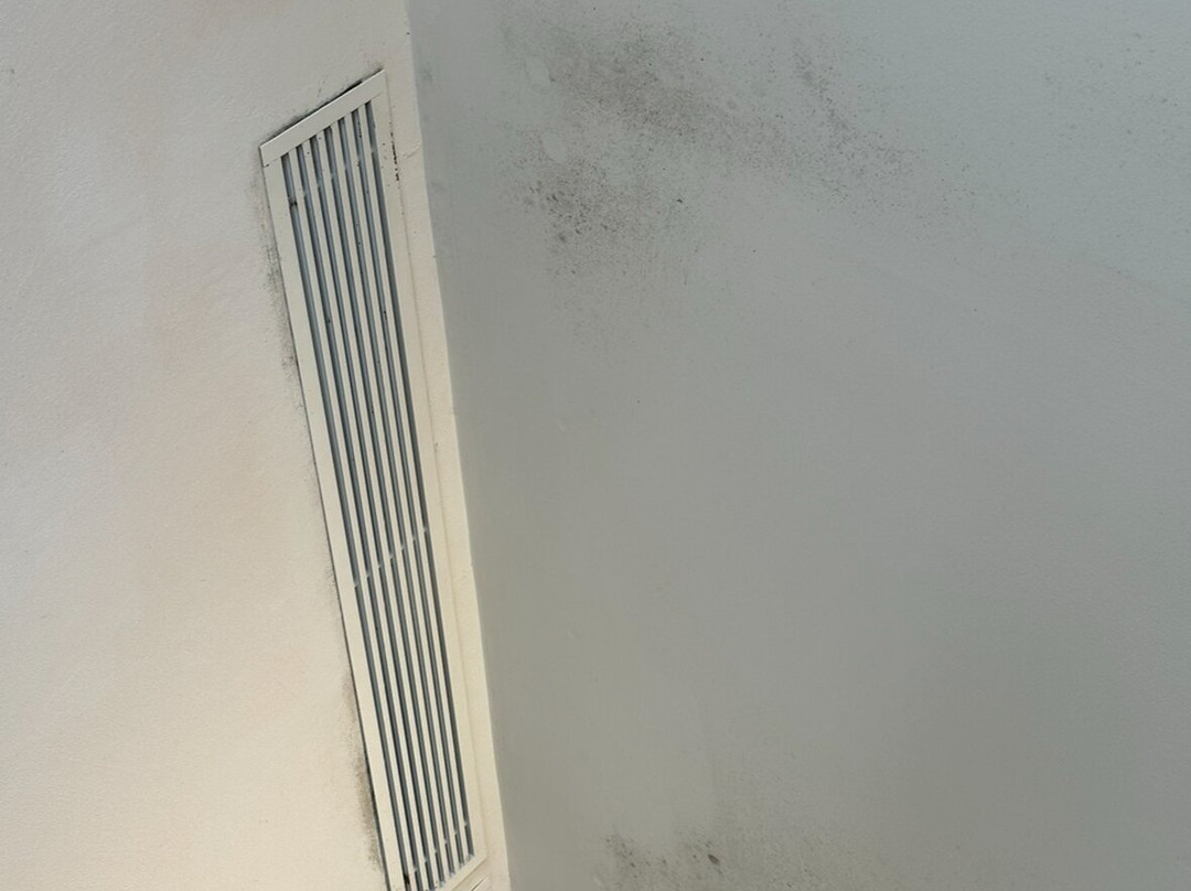 卡诺尼戈之塔酒店主图