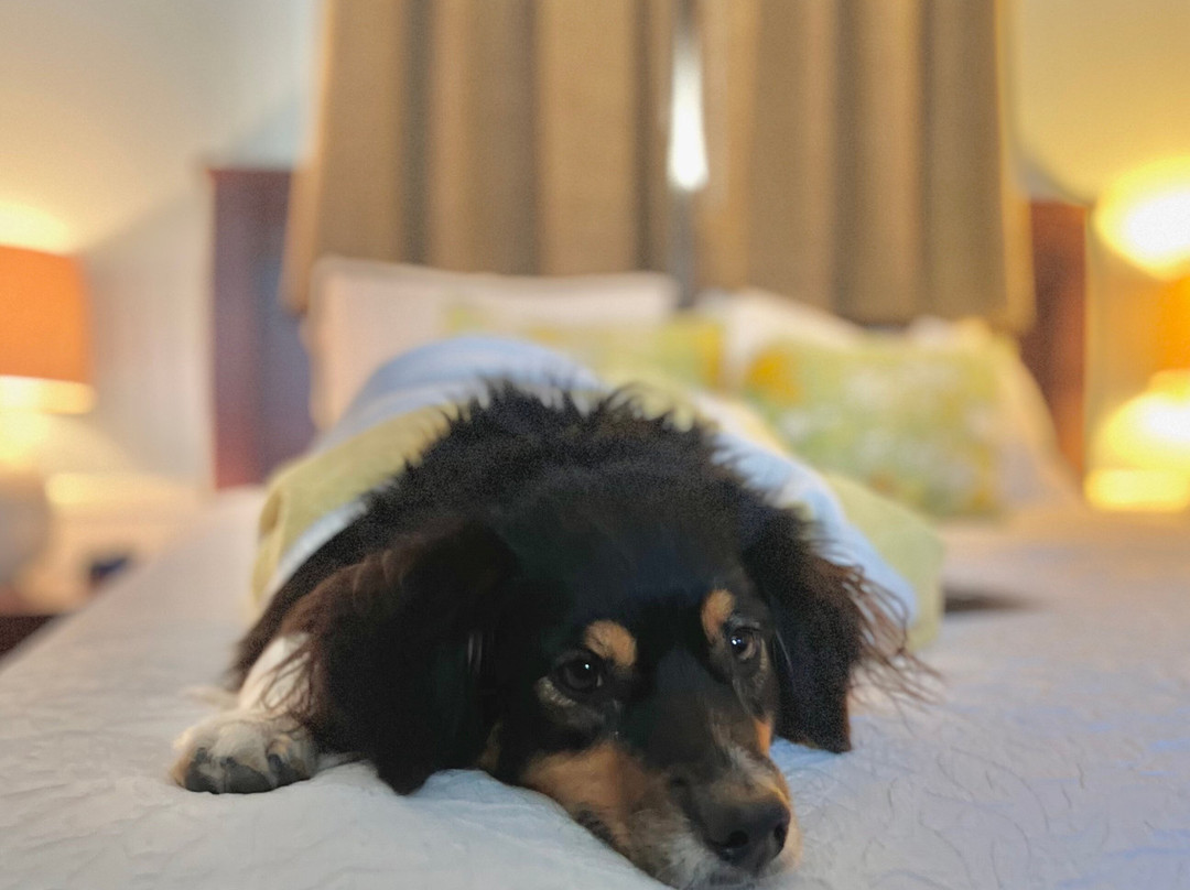 珠纳湖村酒店主图