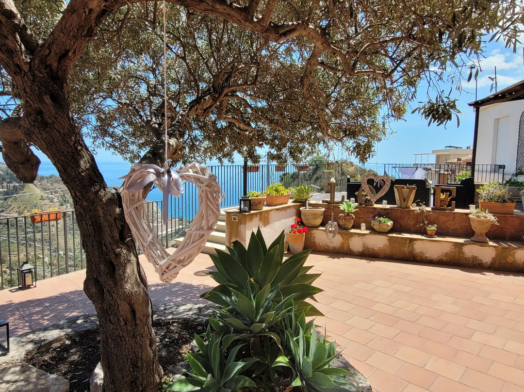 The Lemon Tree主图